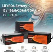 12V Lithium Battery LiFePO4 100Ah 200Ah 300Ah Iron Phosphate BMS Solar Boat RV