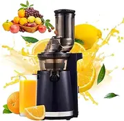 Juicer Machines,Automatic Cold Press Juicer, 96% Pure Juice Rate Juice Extractor with Dual Speeds,Compact Centrifugal Juicers,nti-Drip,Anti-Slip Function,Homemade Juice Cold Drink Juicer Blue