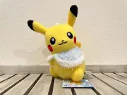 NEW RARE Pokemon Pikachu Christmas Winter Cape Plush from Japan