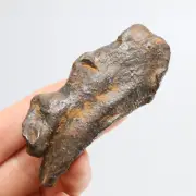 122g Gebel Kamil iron meteorite, Egypt, Space Gift, meteorite, specimen R1473