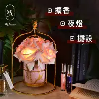 在飛比找博客來優惠-【愛莯】6朵玫瑰花LED夜燈鳥籠架系列(附贈USB充電插頭)