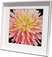 Thea Gouverneur - Counted Cross Stitch Kit - Embroidery Kit - 441.05 - Pre-Sorted DMC Threads - Dahlia - Aida Black - 13 x 13inch - DIY Kit