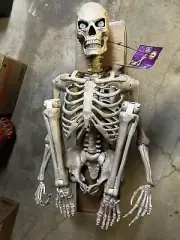 5 Foot ULTRA POSEABLE Skeleton Home Depot Halloween Decoration LED