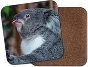 1 x Cute Koala Bear Cork Backed Drinks Coaster - Australia Bears Marsupial #8255