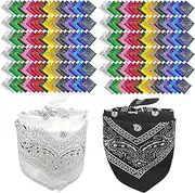 [WHEATHUSK] 240 Pack Bandanas For Men Women Paisley Print Vintage Hair Bandanas Bulk Cowboy Head Scarfs Wrap Neck Wristbands Square Scarves for Outdoor Sports, 21 x 22 Inch, Multi