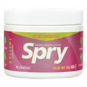 Spry Chewing Gum Bubble Gum 100 Count By Xlear Inc