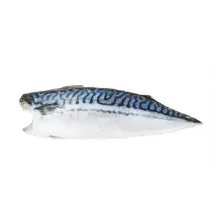 誠新-無鹽挪威鯖魚片(180g/片)#無鹽#透明袋-1G3B【魚大俠】FH278