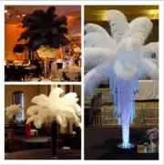 Wholesale 100/200pcs 18-20 inch/45-50 cm White Natural Ostrich Feathers