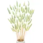 60-Pack Bunny Tails Grass 17 Inch for Home Decor/Wedding [Blue]