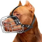 CleverTail Large Pitbull Muzzle to Prevent Biting - Metal Basket Muzzle for Pitbull with Adjustable Leather Straps - Cage Dog Muzzle for Large Sized Dogs Pitt Bull, Cane Corso, American Bully
