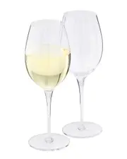 Namb Vie Pinot Grigio Wine Glasses (Set Of 2)