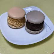 Macaron Food Sample