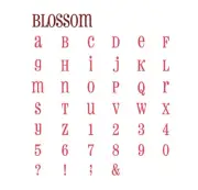 QuicKutz BLOSSOM 2x2" Alphabet Die Set Letters, Numbers, Punct. w/Foam & Basket