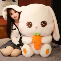 在飛比找蝦皮商城精選優惠-生日禮物棉花娃娃蘿蔔兔毛絨玩具兔子抱枕送女朋友兔年吉祥物娃娃