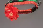 RED CAT BREAK AWAY FLORAL APPLIQUE CAT ADJUSTABLE COLLAR - XS