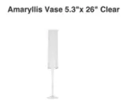 Elegant AMARYLLIS CLEAR GLASS VASE 5.3x26" ACCENT DECOR 48752.00 Party Wedding