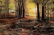Terry Redlin - Soft Shadows - Grouse - S/N Litho - Excellent Condition