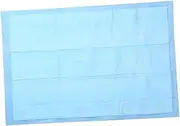 BESPORTBLE Pet Training Pads 30pcs Puppy Pee Pads Ultra Absorbent Large Size 33x45cm