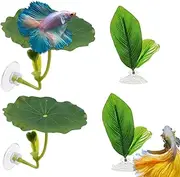 Betta Fish Leaves – Natural Indian Almond Leaf Pack, Aquarium Water Conditioner | Organic Shrimp Tank Supplement, Anti-Fungall Habitat Enhancer, Leaf Decor for Breeding Health Molt Comfort Fish Use