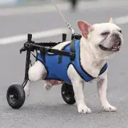 Adjustable Pet Wheelchair Hind Limb Hind Leg Disabled Pet Cat Dog Mobili ty