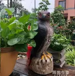 驅鳥器 花果園陽台櫻桃桔柚柿子蘋果番茄樹仿真老鷹驅鳥嚇鳥趕鳥神器【摩可美家】