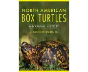 North American Box Turtles