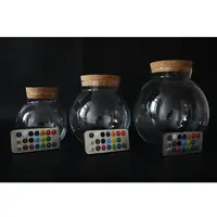 在飛比找蝦皮購物優惠-L-one 苔蘚微景觀生態瓶 遙控彩燈玻璃瓶 DIY玻璃瓶 