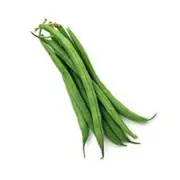 Organic Round Beans Whole Kg – Fresh, healthy organic delivery | Doorstep Organics