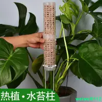 在飛比找蝦皮購物優惠-爆款#自制植物水苔柱固定棒進口網殼水培熱植攀爬拼接龜背竹支撐