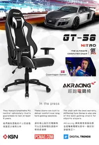 在飛比找松果購物優惠-AKRACING超跑電競椅-GT58 Nitro-白 (6.