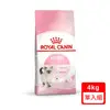 ROYAL CANIN法國皇家-FHN幼貓K36 4KG