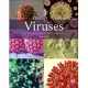 Viruses: From Understanding to Investigation