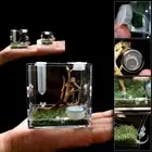 Humidifier Breeding Cage Spider habitat Jumping Spider Breeding Box Insect Box
