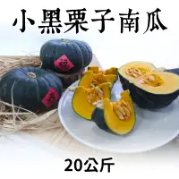 在飛比找台灣好農優惠-農友種苗 小黑栗子南瓜20公斤