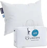 Lincove Cloud Natural Canadian White Down Luxury Sleeping Pillow - 625 Fill Power, 500 Thread Count 100% Cotton Shell, Made in Canada, King - Medium, 1 Pack