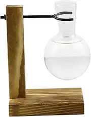 ETUCYNG Plant Propagation Jars | Propagate Plant Holder Test Tube Hydroponic Rack with Wooden Stand | Glass Vase Jars Hydroponic Container for Home Offices Decors