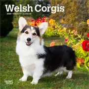2025 Welsh Corgis Mini Wall Calendar