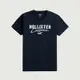 Hollister 海鷗 HCO 熱銷刺繡文字海鷗圖案短袖T恤-深藍色