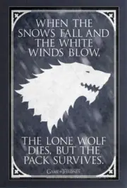 GAME OF THRONES LONE WOLF 13x19 FRAMED GELCOAT POSTER JON SNOW HBO TV STARK NEW!