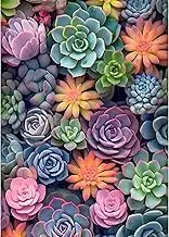 Ycydilirab Succulent Paint by Numbers Kits for Adults Beginners-Succulent Plant Paint by Number for Adults,Easy Canvas Paint by Numbers for Adults for Home Wall Decoration and Gifts 16X20 inch