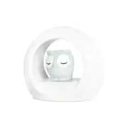 Zazu Lou Owl 20cm Voice Activated Night Light/Soother for 0m+ Baby/Infant Grey