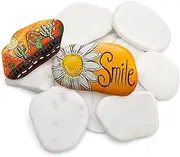 DAWRIS Pack of 12 Pebbles for Painting, Flat, 3-8 cm, Natural Decorative Stones, Gravel Decorative Stones, Natural Stone, DIY Rocks, Beach Pebbles Painting Stones for Colourful Painting, Aquariums,