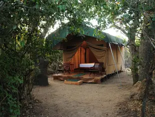 雅拉貝爾野外營地帳棚旅館Yala Bear Safari Camp Tents