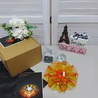 在飛比找蝦皮購物優惠-全新 QisDESIGN Flamenca 花舞桌燈 LED