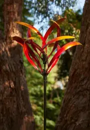 GREVILLEA WIND SPINNER - FLAME