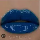 Skyline Lipsense & Oops Remover NEW & DISCONTINUED