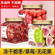 Organic freeze-dried crispy dates, strawberries, dried figs ready-to-eat snacks