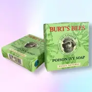 Lot of 2: NEW IN BOX Burt's Bees Poison Ivy Soap 2oz Bars
