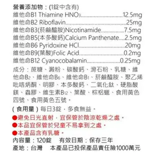 人生製藥 渡邊 維他命B群糖衣錠 120錠