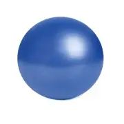 Vizuioer nononfish Mini Exercise Barre Ball for Yoga,Pilates,Stability Blance...